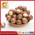 Healthy Delicious Tasty Cheap New Crop New Fragrance Roasted Almond in Shell